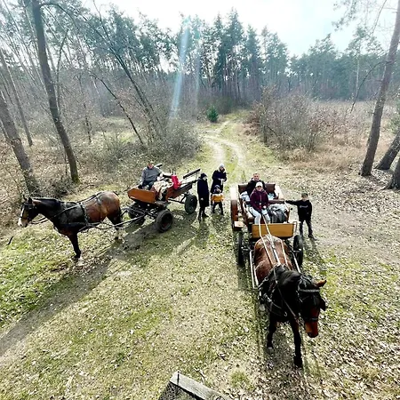 Gospodarstwo agroturystyczne U Wojciecha