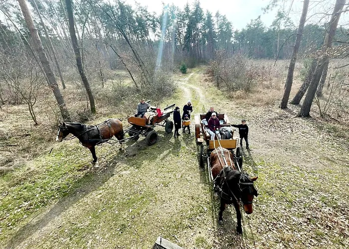 Farm stay U Wojciecha