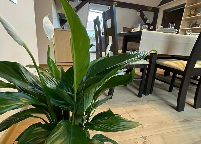 U Wojciecha * Pakoslaw (Greater Poland)